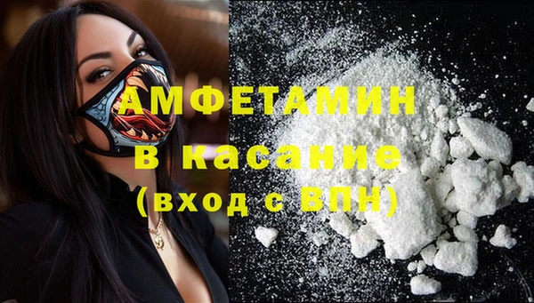 шишки Алексин