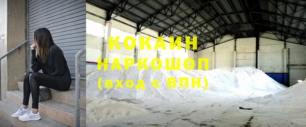 крисы Абаза
